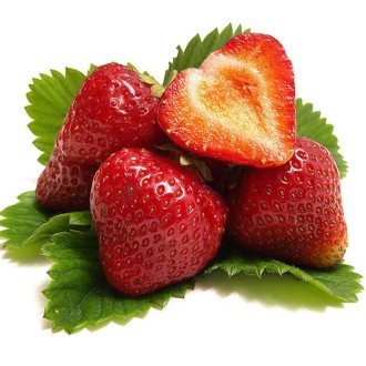 Jagoda Senga Sengana