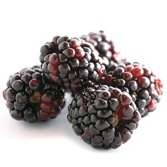 Malina-Kupina Boysenberr